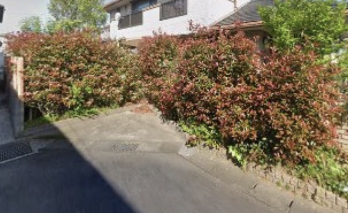 【施工前】植栽が管理しきれない状態